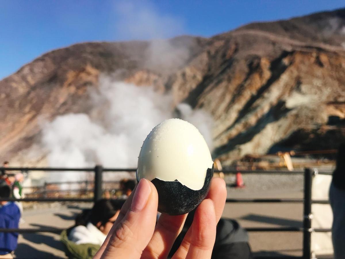 Merveille Hakone Gora Dış mekan fotoğraf